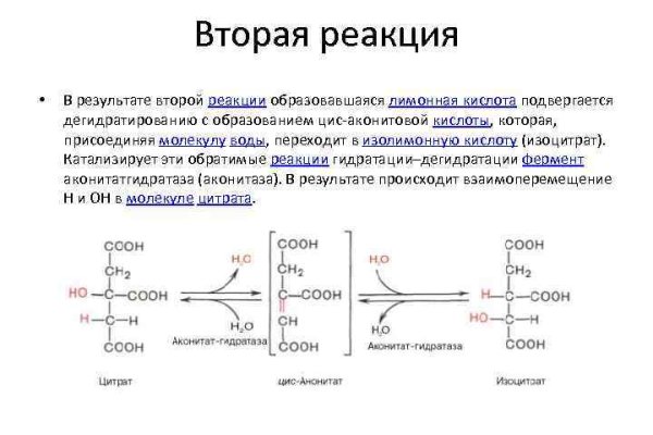 Зеркало blacksprut тор ссылка