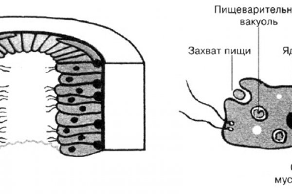 Блэк спрут интернет магазин