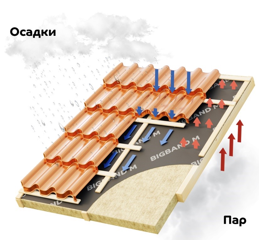 Black sprut зеркало для пк